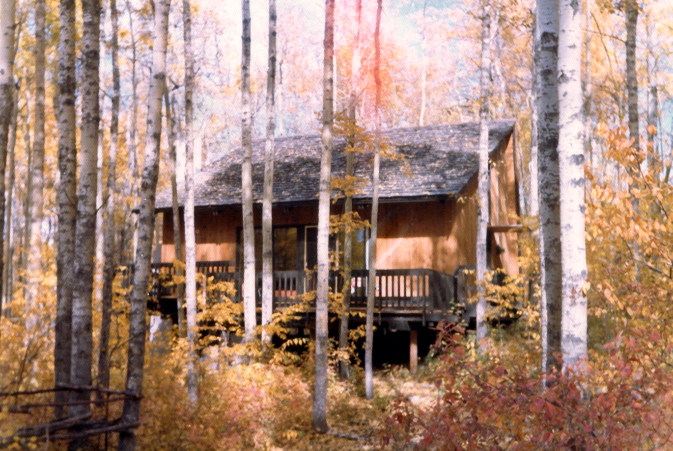 the cabin