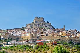 Morella